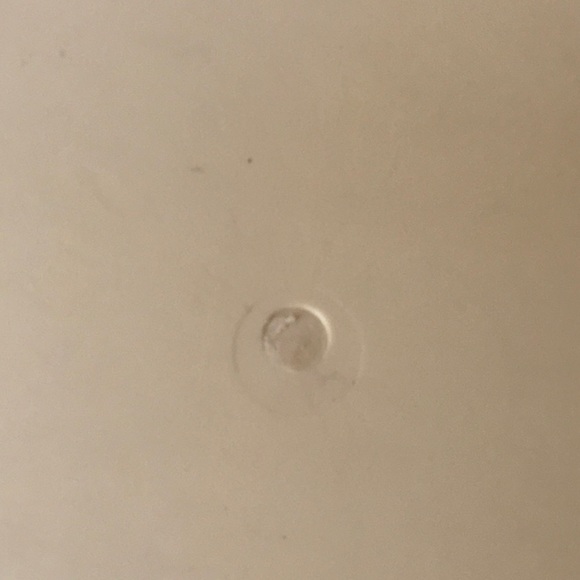 Vintage Celluloid Faux Ivory Lotus Japanese Garden Jewelry lidded box. - Picture 10 of 14